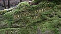 Ritterstein Nr. 039-1 Kunzelmannsgut
